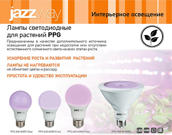  PPG A60 Agro 15w Clear E27 IP20