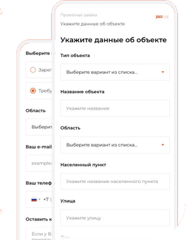ПРОЕКТНАЯ  ЗАЯВКА