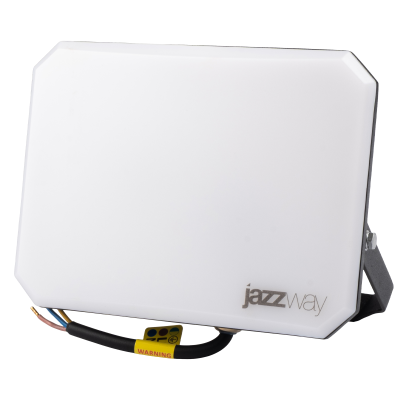 Прожектор светодиодный СДО PFL-SA 100W OPAL 6500K IP65 — вид 2