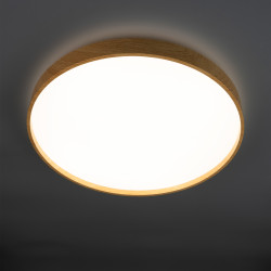 PPB   PINE 60w 4000K IP20 D485X75 Jazzway