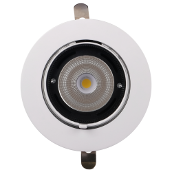 PLED DL4 30W 4000K 24° поворот  White  IP40 Jazzway