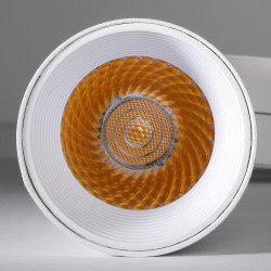 PTR  0620 20w 3000K 24° WH (белый) IP40 Jazzway