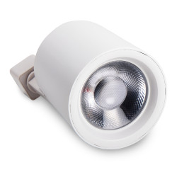 PTR  0530 30w 4000K 24° WH (белый) IP40 Jazzway