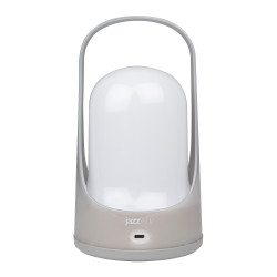 JAZZway Accu5-L60-gy