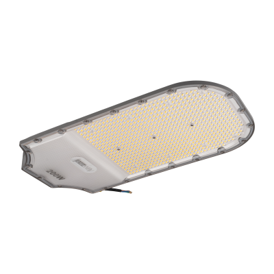 Светильник консольный ДКУ PSL 05-2 200W 5000K GR IP65