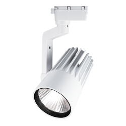 PTR  0130-2 30w 3000K 24° WH (белый) IP40 Jazzway