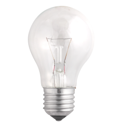 A55  240V  95W  E27  clear Jazzway  (Б 230-95-5)