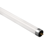 PLED T5