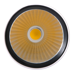 PTR  1732 32w 4000K 24° WH (белый) IP40 Jazzway