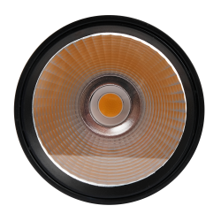 PTR  0130-2 30w 3000K 24° BL (чёрный) IP40 Jazzway