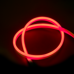 PFN-01 