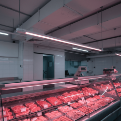 Спец PLED  T8 - 900 Food Meat 12w  G13 CL/PL 230V/50Hz Jazzw