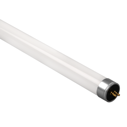 PLED  T5 - 600GL  8w FROST 6500K G5 230V/50Hz (стекло)   Jazzway