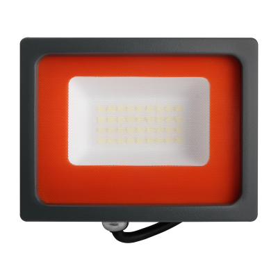 Прожектор светодиодный СДО PFL -SC- 30w 6500K IP65 — вид 2