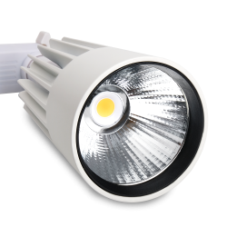 PTR  0130-2 30w 3000K 24° WH (белый) IP40 Jazzway
