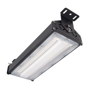 PPI- 04  50w 5000K IP65