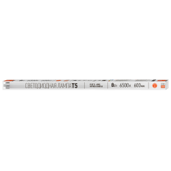 PLED  T5 - 600GL  8w FROST 6500K G5 230V/50Hz (стекло)   Jazzway
