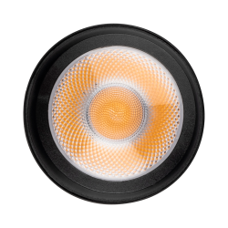 PTR  0620 20w 3000K 24° BL (чёрный) IP40 Jazzway