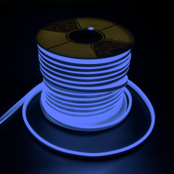 PFN-01 