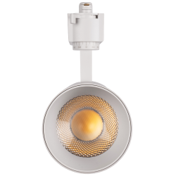 PTR 0724 Agro White 24w 38° WH (белый) IP40 Jazzway