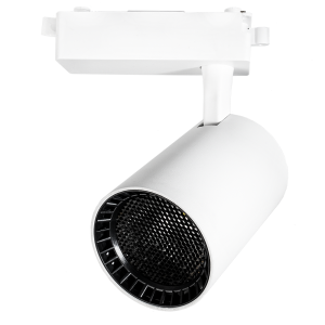 PTR  1335 35w 3000K 24° WH (белый) IP40 Jazzway