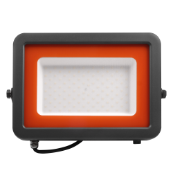PFL- S2 -100w 6500K IP65 Jazzway