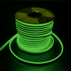PFN-01 