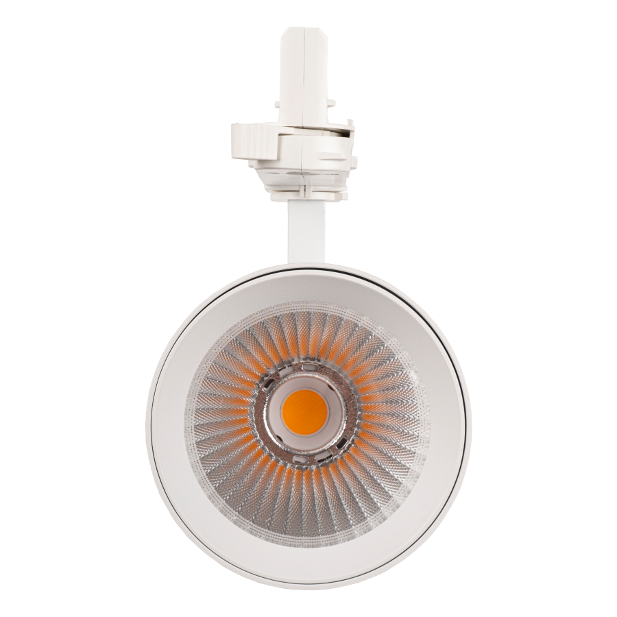 3P PTR 7030 30W 3000K 36° WH IP40 Jazzway 