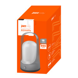 JAZZway Accu5-L60-gy