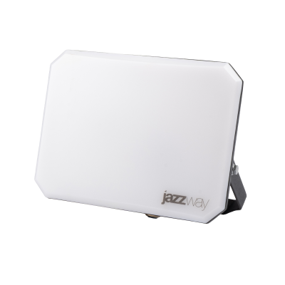 Прожектор светодиодный СДО PFL-SA 100W OPAL 6500K IP65