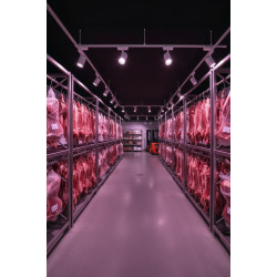 Спец PTR 0730 FOOD MEAT 30w 24° WH (белый) IP40 Jazzway