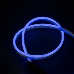 PFN-01 