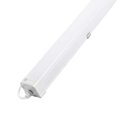 Светильник светодиодный влагозащищенный ДСП PWP-C3-E1 1200 36w 6500K 4320Lm IP65 с БАП (3 г.гар)