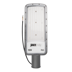 PSL 07 100w 5000K GR IP65 (3г.гар) Jazzway