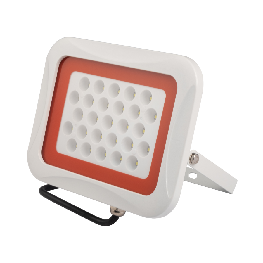 PFL -SA-   50w 6500K 60° IP65 Jazzway