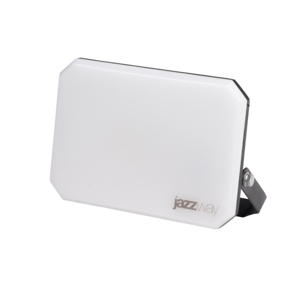 PFL-SA  50W OPAL 6500K IP65