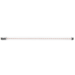 PLED T8   900 Agro  12w CL G13 ( для растений) Jazzway