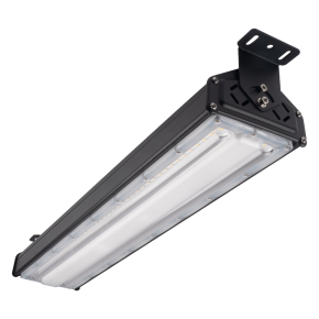 PPI- 04 100w 5000K IP65