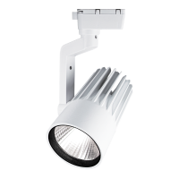PTR  0130-2 30w 4000K 24° WH (белый) IP40 Jazzway