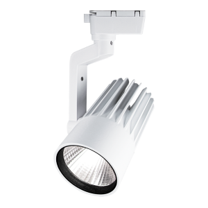 PTR  0130-2 30w 4000K 24° WH (белый) IP40 Jazzway