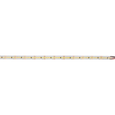 Лента светодиодная PLS PRO-5 2835/240-24V 4000K 20W/m IP20-5m — вид 2