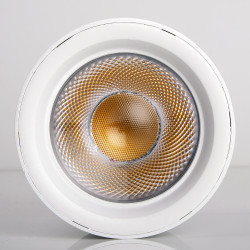 PTR  0530 30w 4000K 24° WH (белый) IP40 Jazzway