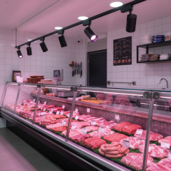 Спец PTR 0730 FOOD MEAT 30w 24° BL (черный) IP40 Jazzway