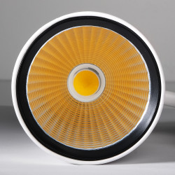 PTR  1732 32w 4000K 24° WH (белый) IP40 Jazzway
