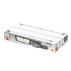 PSL 04-3 100w 5000K GR  IP65 (5лет.гар) Jazzway