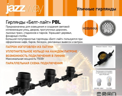 Гирлянды «Белт-лайт» PBL
