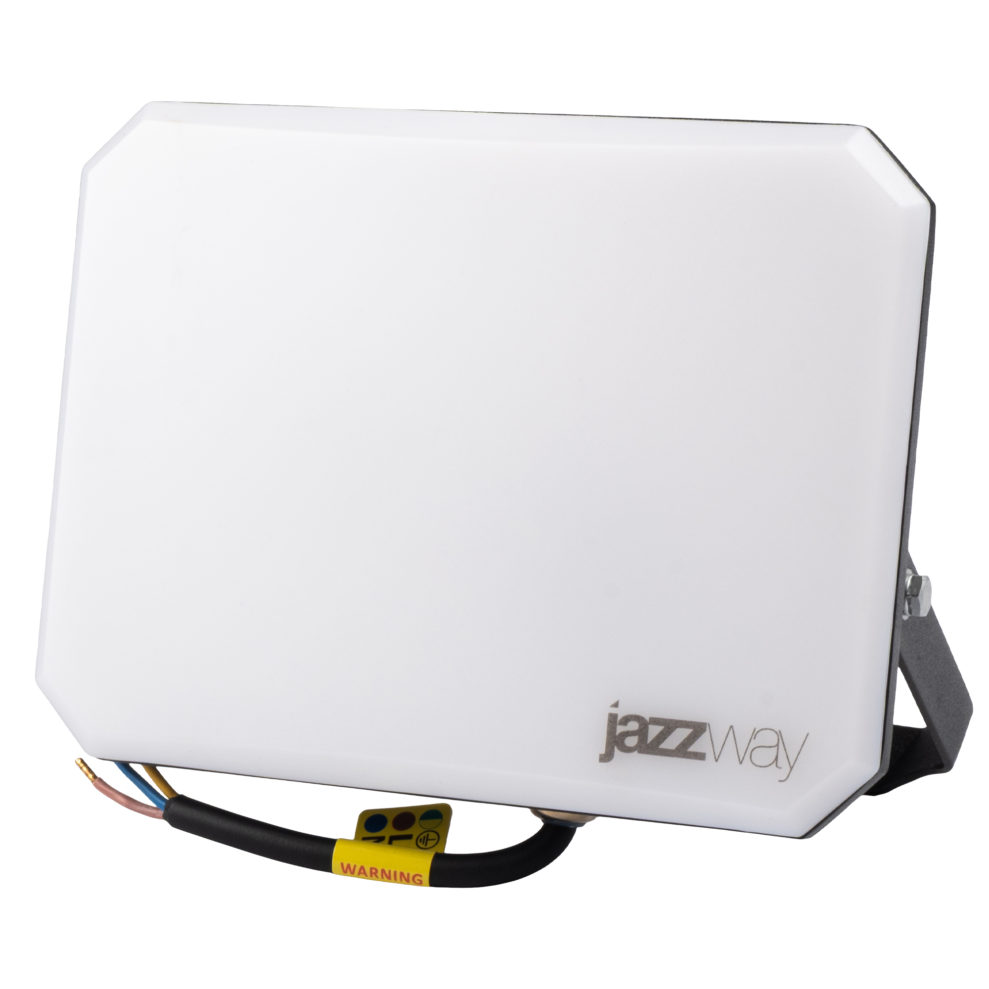 Прожектор светодиодный PFL-SA 100W OPAL