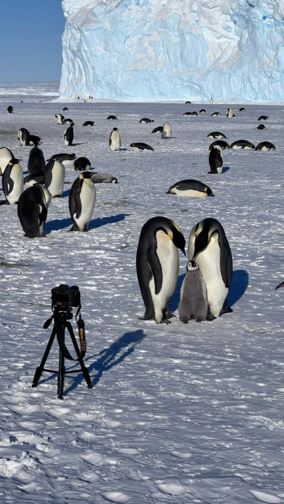 photo_5454126274692908093_y.jpg photo_5454126274692908093_y.jpg