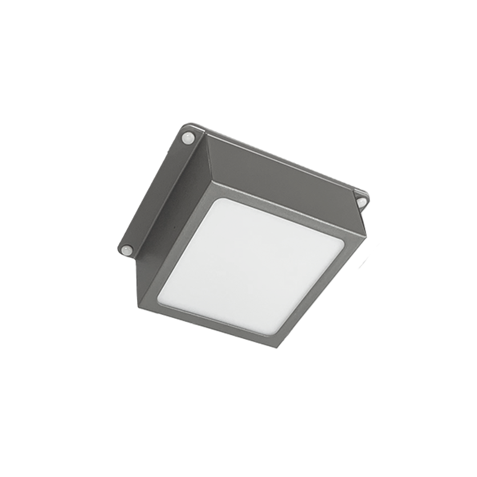 PPL 089 G 9W size (1).png