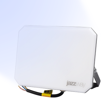 Прожектор светодиодный PFL-SA 100W OPAL